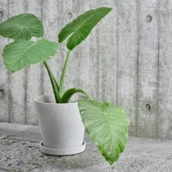 HAY Flowerpot And Saucer, L, Grey -Finnishdesignshop 17NewHay HV 1