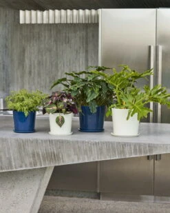 HAY Botanical Family Pot And Saucer, L, Dark Blue -Finnishdesignshop Botanical Family Set M dark blue off white Botanical Family Set L dark blue off white