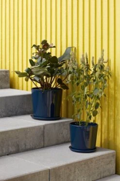 HAY Botanical Family Pot And Saucer, L, Dark Blue -Finnishdesignshop Botanical Family Set XL dark blue Botanical Family Set L dark blue 1