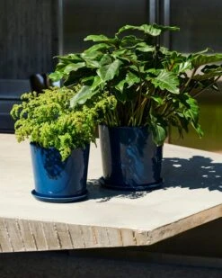 HAY Botanical Family Pot And Saucer, L, Dark Blue -Finnishdesignshop Botanical Family Set XL dark blue Botanical Family Set L dark blue 01 1