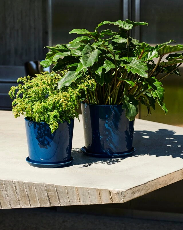 HAY Botanical Family Pot And Saucer, L, Dark Blue - Image 6