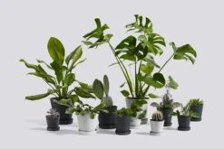 HAY Flowerpot And Saucer, L, Grey -Finnishdesignshop Flowerpot Family 5