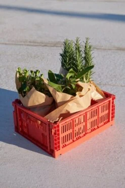 HAY Colour Crate, M, Recycled Plastic, Red 13 HAY Colour Crate, M, Recycled Plastic, Red -Finnishdesignshop HAY Colour Crate M red
