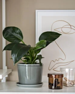 HAY Botanical Family Pot And Saucer, M, Dusty Green 8 HAY Botanical Family Pot And Saucer, M, Dusty Green -Finnishdesignshop Home Office Design Stories x My Full House 13