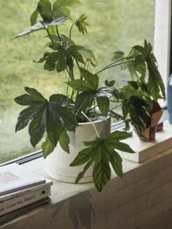 HAY Plant Pot With Saucer, XXL, White -Finnishdesignshop Plant Pot with Saucer off white